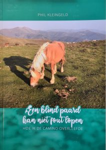 Een blind paard kan niet fout lopen